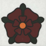 róża lancashire - wymiary 140 x 145mm