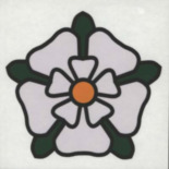 róża yorkshire - wymiary 145 x 140mm