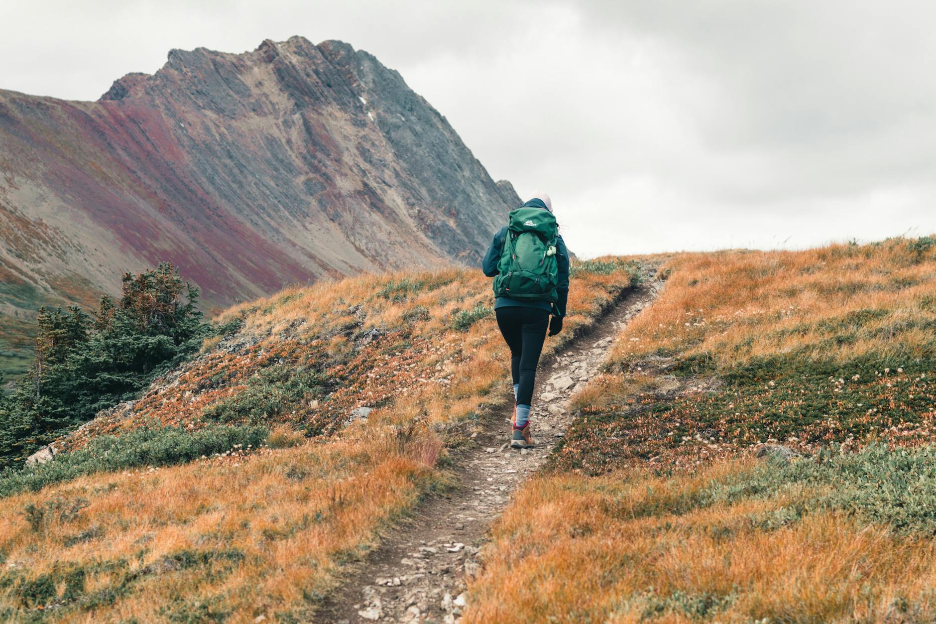 Trekker z plecakiem idący jesiennym szlakiem w Jasper National Park